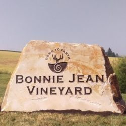 Bonnie Jean Vineyard