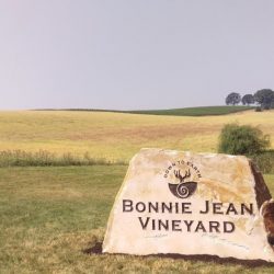 Bonnie Jean Vineyard